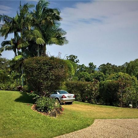 River Gum Luxury Bed And Breakfast Diddillibah Exterior foto